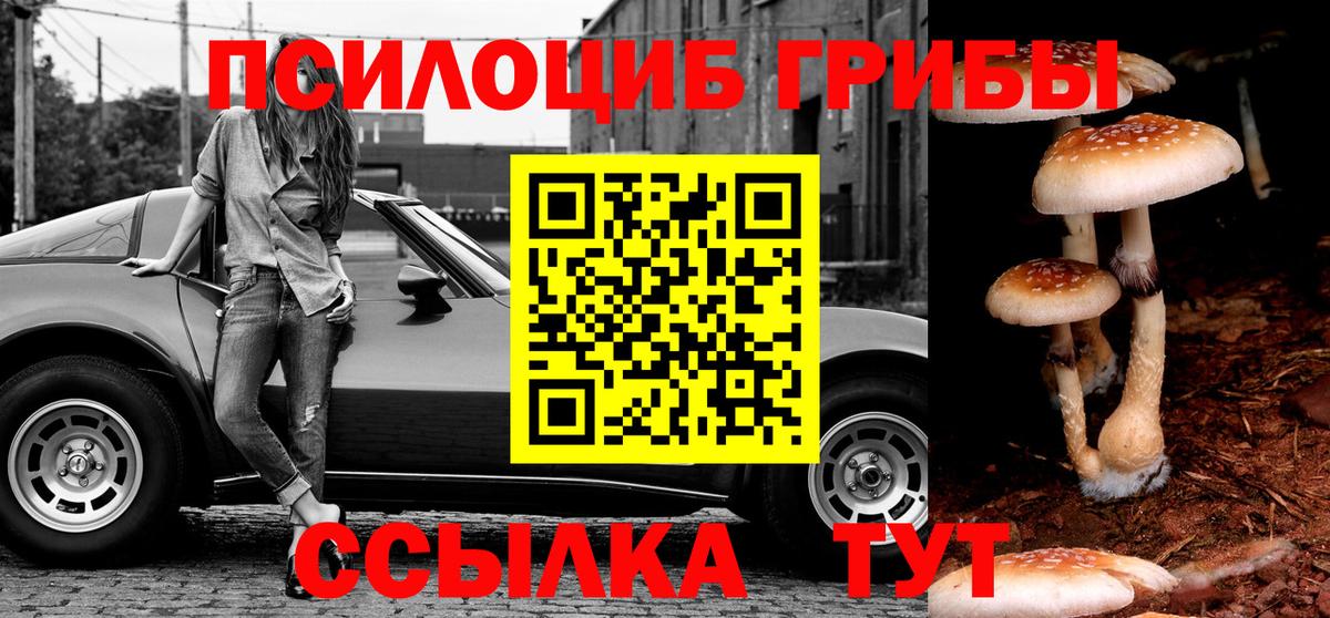 Чайковский  Галлюциногенные грибы Cubensis  Галлюциногенные грибы Psilocybine cubensis  Вход с VPN 