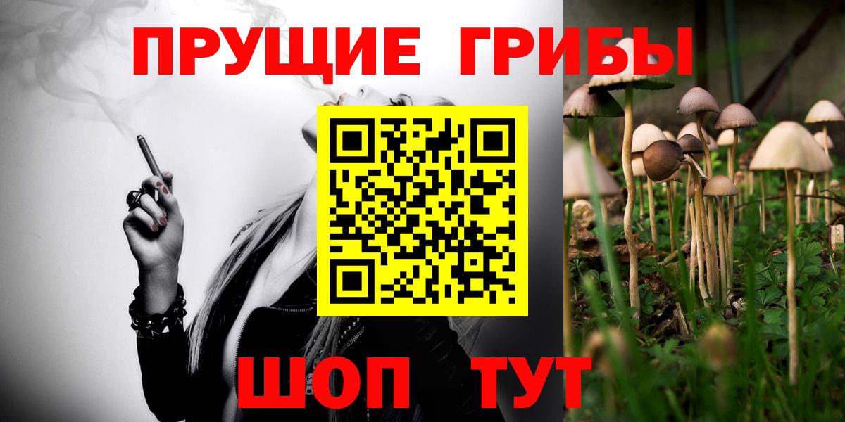 Псилоцибиновые грибы ЛСД Чайковский